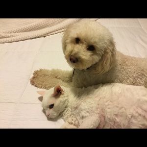 Meet your Posher, Deborah